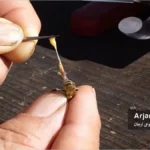 تست عفونت نوما در زنبور عسل