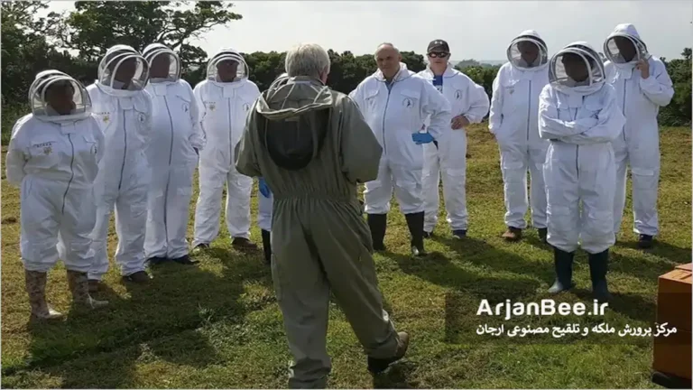 کار علمی زنبورداران