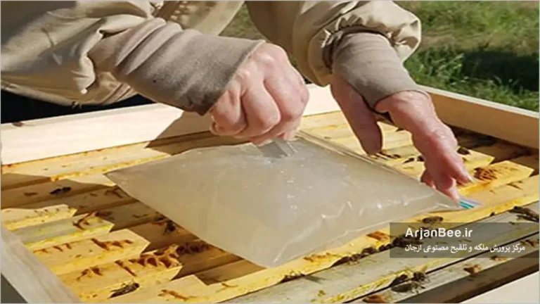 تغذیه زنبور عسل با کیسه فریزر