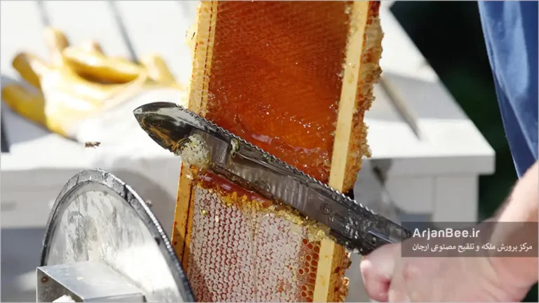 پولک برداری قاب عسل با چاقو حرارتی