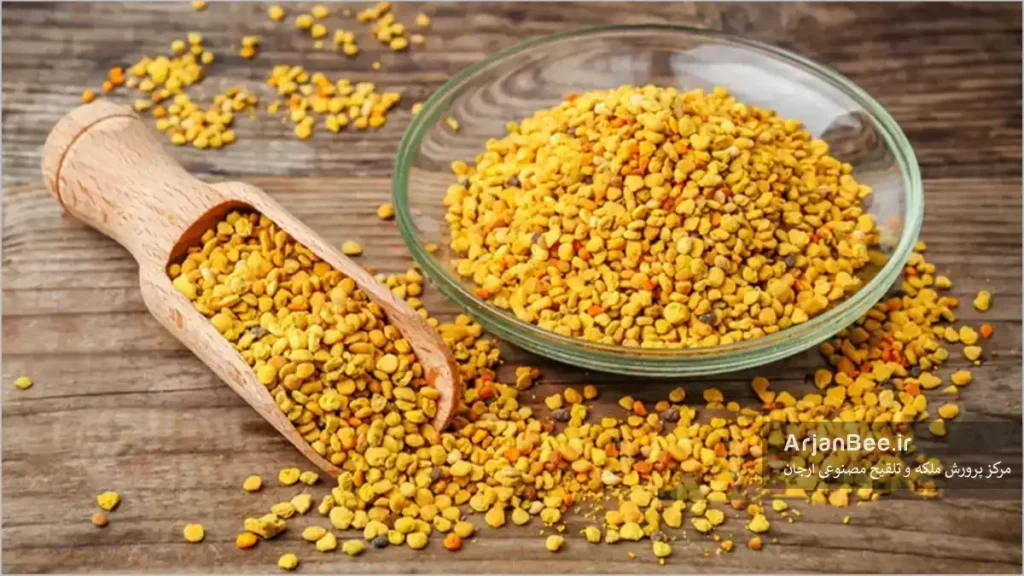 گرده زنبور جمع اوری شده