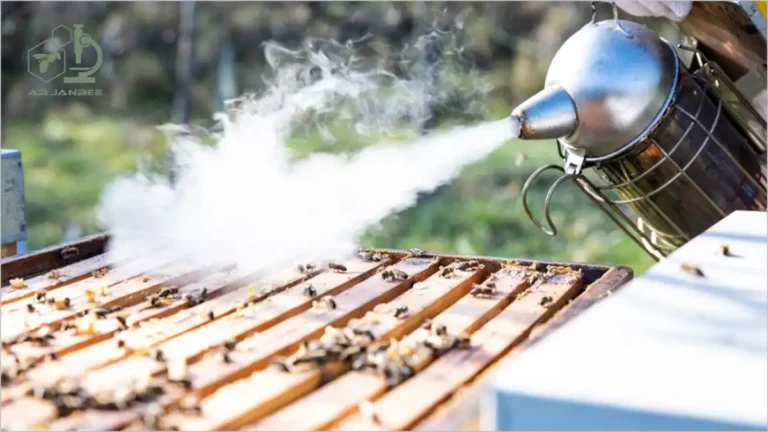 استفاده از دودی