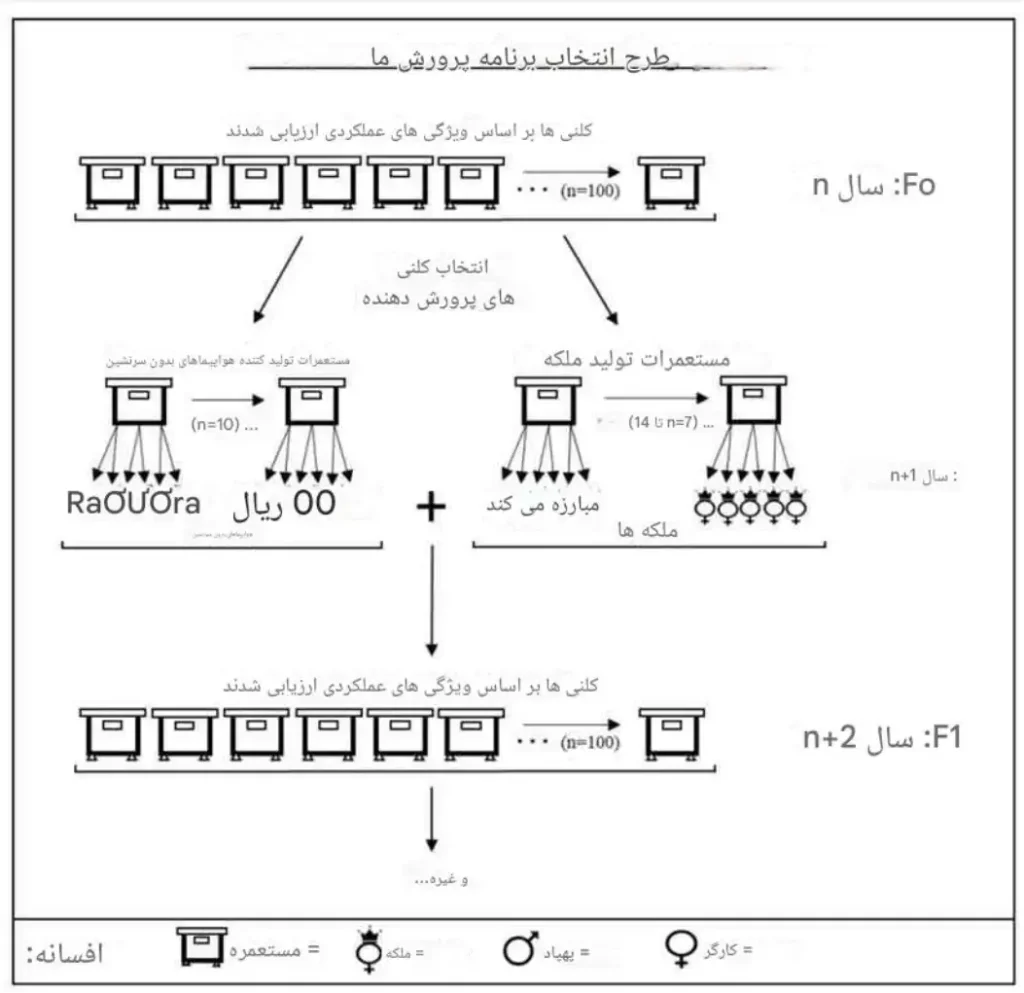 ساختار یک برنامه پرورش در مطالعهای پژوهشی