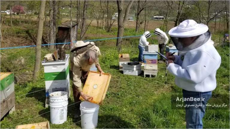 زنبورداران همکار و داوطلبان پژوهشی در قالب مطالعه‌ای برای مقایسه سامانه‌های مختلف مدیریت زنبورداری، داده‌هایی از کندوهای زنبورعسل گردآوری می‌کنند.