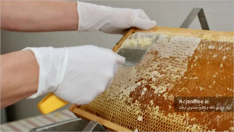 پولک برداری برای استخراج عسل