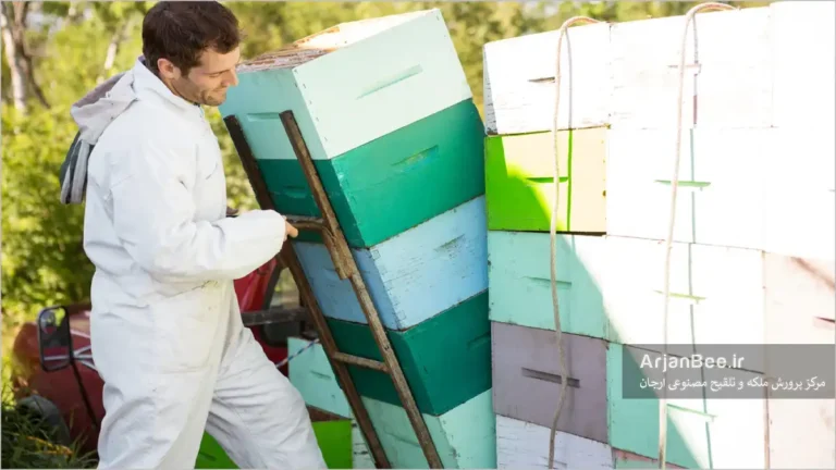 بالابرها و چرخ‌دستی‌های کندو برای زنبورداری بدون زحمت