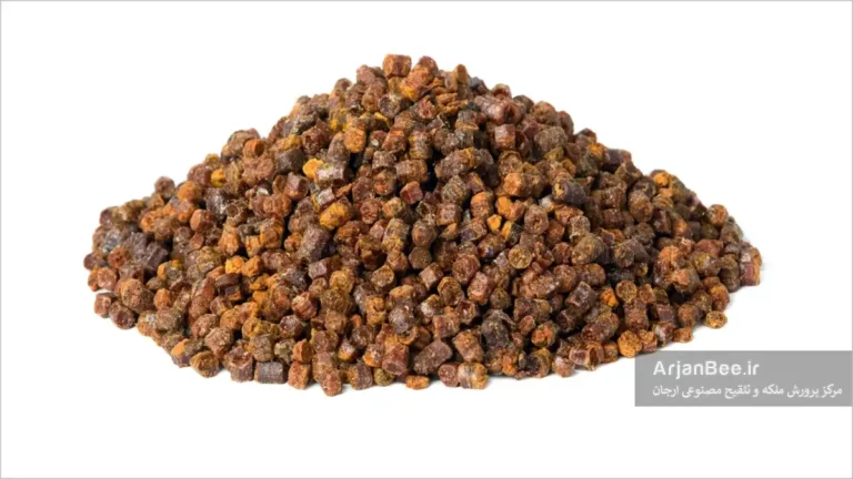 نان زنبور عسل