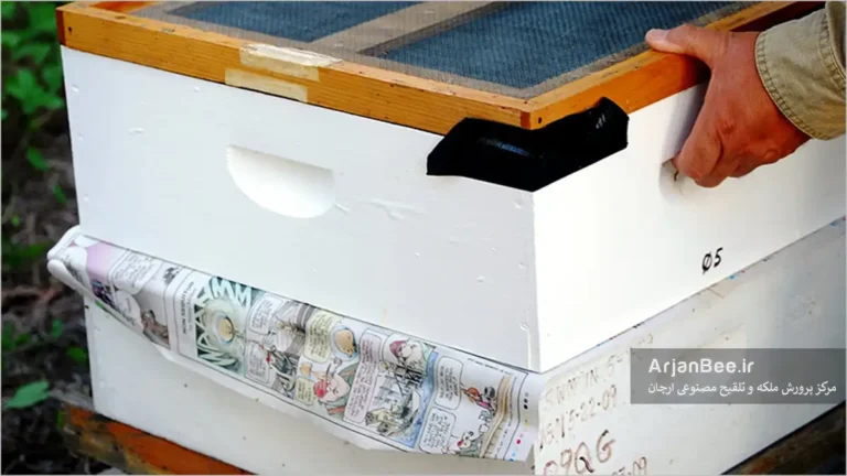 ادغام کردن کلنی ها