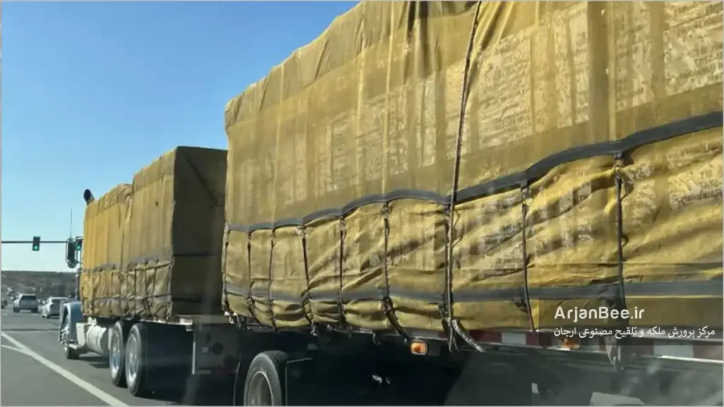 انتقال زنبورها در مسافتهای طولانی