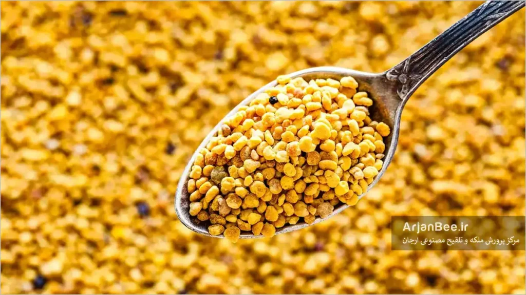 گرده گل چمع آوری شده بوسیله زنبور عسل