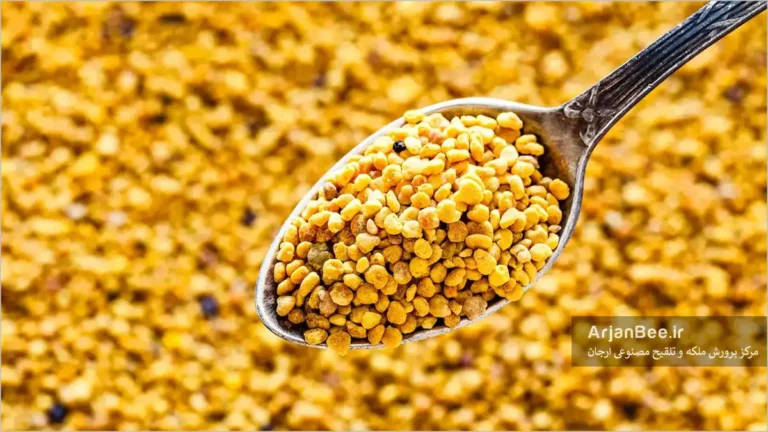 گرده گل چمع آوری شده بوسیله زنبور عسل