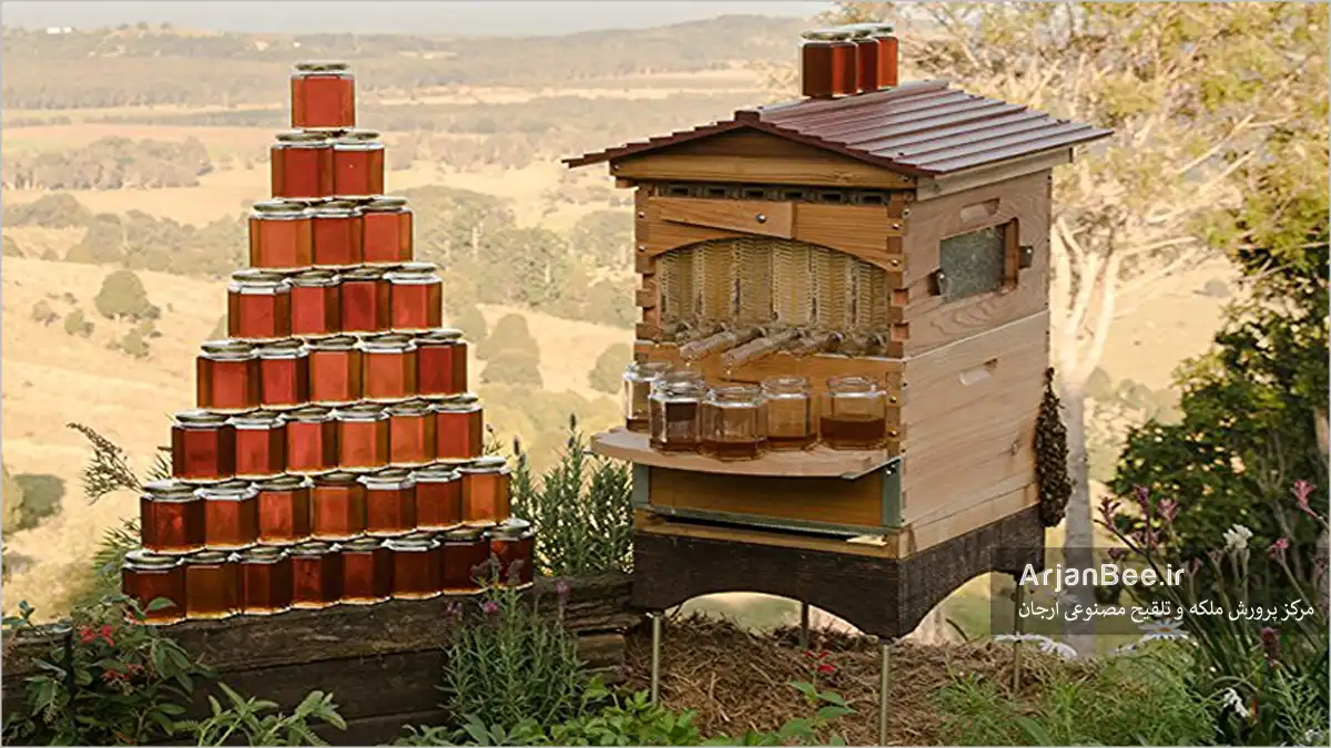 کندوی فلو (Flow Hive)