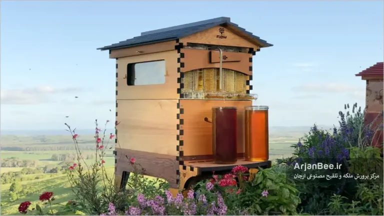 کندوهای فلو (Flow Hive)
