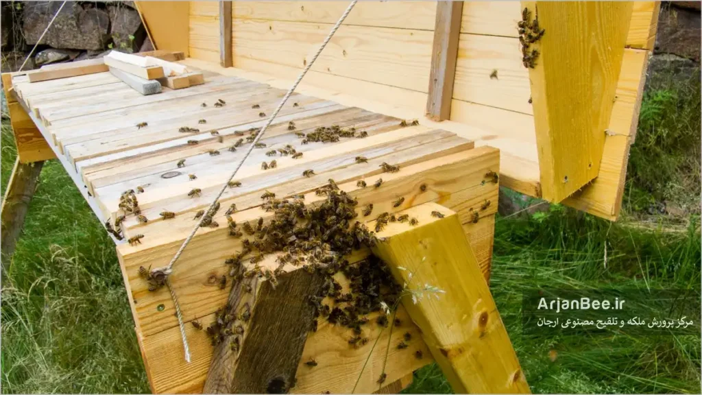 کندوی تیرک‌ افقی (Top Bar Hive)