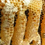 هرزه بافی عرضی (Cross Comb)