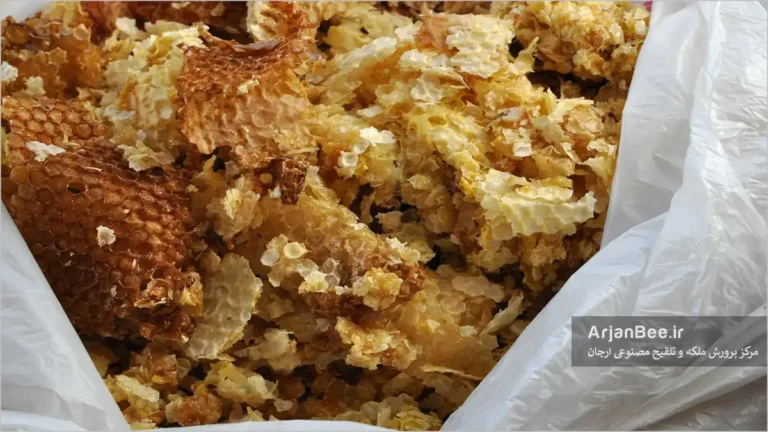 موم های خورد شده آماده تصفیه شدن