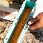جمع آوری گرده گل