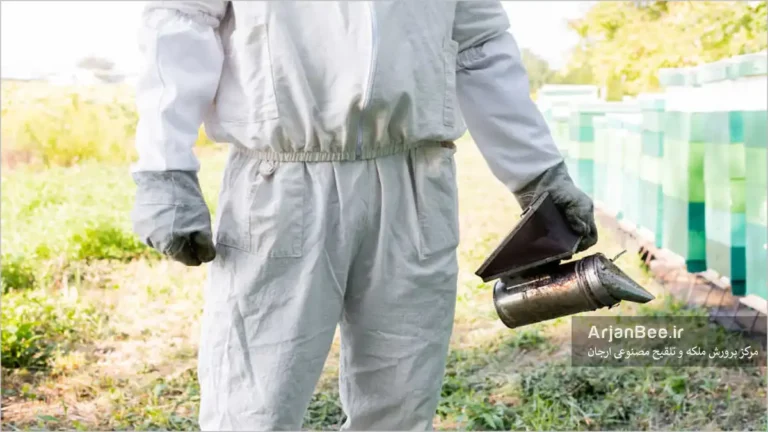 لباس زنبورداری