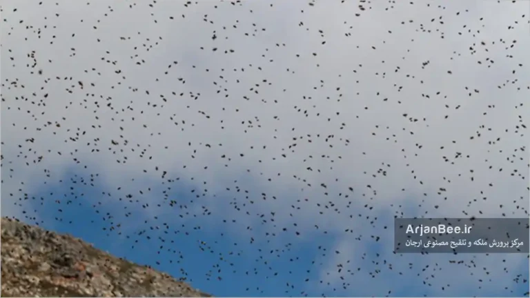 منطقه تجمع نرها