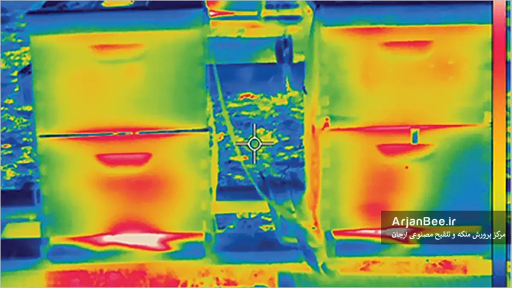 پایش دمای کندوی زنبور عسل