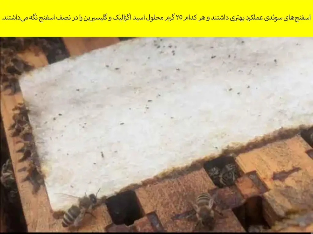 راهنمای استفاده از اسید اگزالیک و گلیسیرین برای کنترل کنه واروآ 11 آمادهسازی اسفنجها یا پدهای ماکسیمایزر