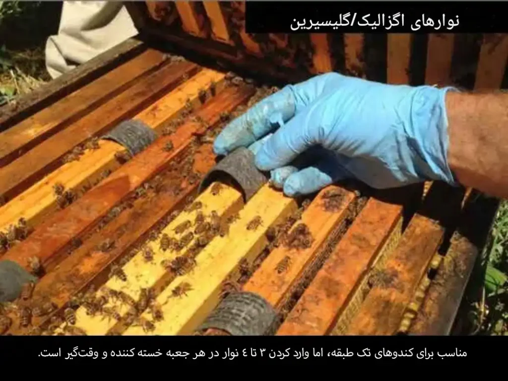 راهنمای استفاده از اسید اگزالیک و گلیسیرین برای کنترل کنه واروآ 10 کارگذاری پدهای اسید اگزالیک و گلیسیرین