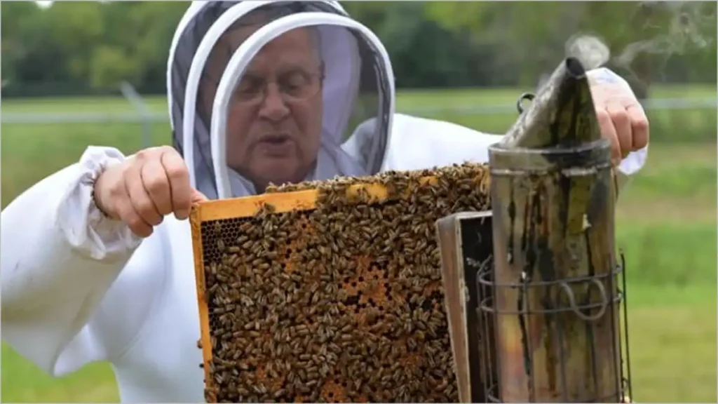 زنبورداری تطبیقی با محدودیت جسمی