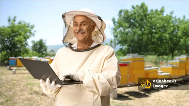 کسب و کار زنبورداری آنلاین