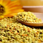 گرده زنبور عسل