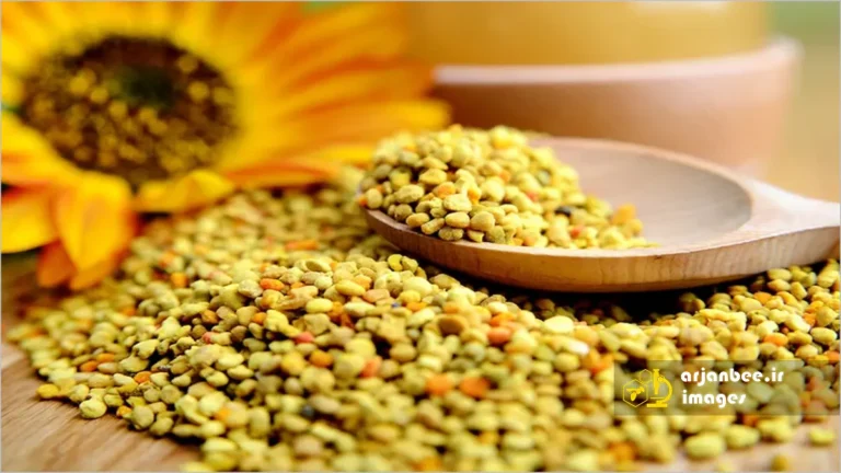 گرده زنبور عسل