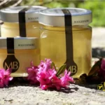 عسل گل صد تومانی (رُدودندرون) ؛ خواص و فواید 2 عسل رُدودندرون (گل صد تومانی)