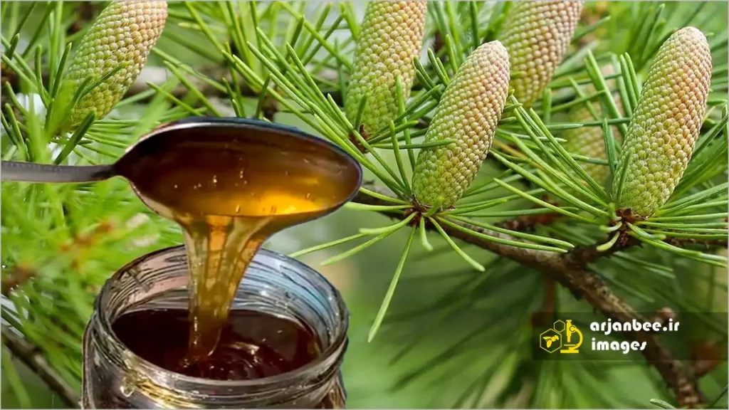 عسل کاج