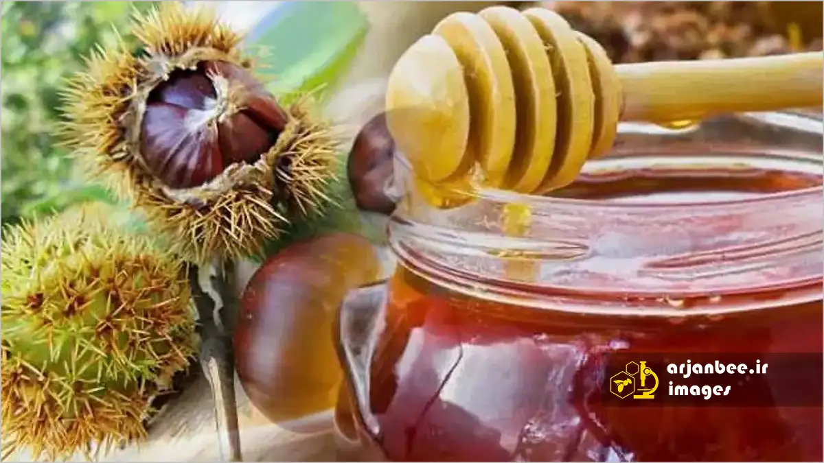 خواص عسل شاه بلوط: فواید، ارزش غذایی 8 عسل شاه بلوط