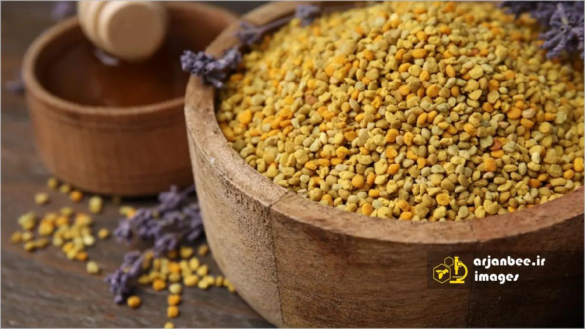 گرده زنبور عسل؛ فواید، خواص درمانی و پژوهشهای جدید 10 گرده زنبور عسل
