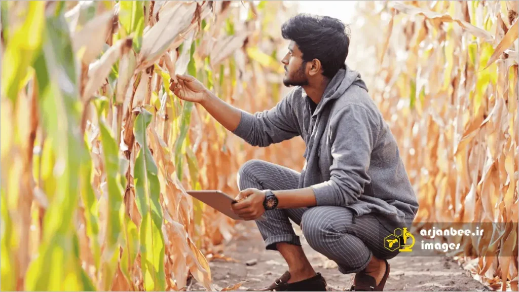 راهکارهای عملی برای سمپاشان و کشاورزان