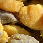 گلوله های گرده جمع آوری شده توسط زنبور عسل