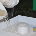 شربت زنبور عسل