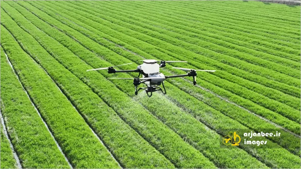 سموم کشاورزی و زنبور عسل