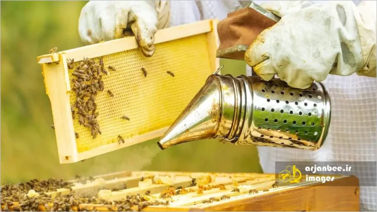 قاب با برگه موم یا بدون برگه موم